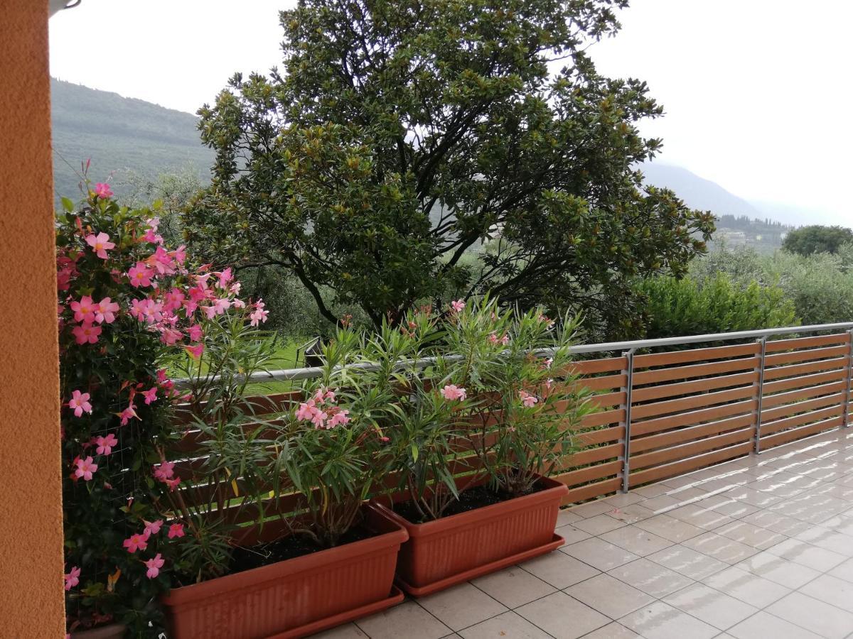 Appartamento La Terrazza 加尔达湖滨 外观 照片